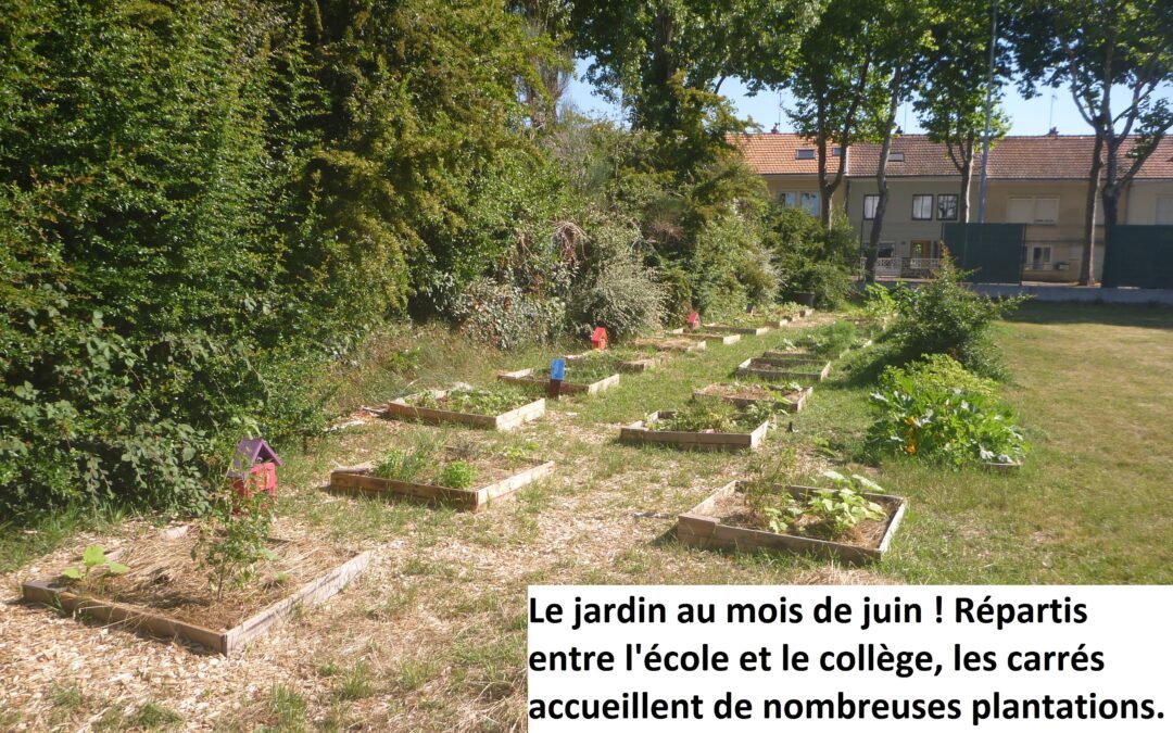 Un jardin à l’Immac